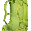 Gregory Alpinisto Backpack Lichen Green Clearance