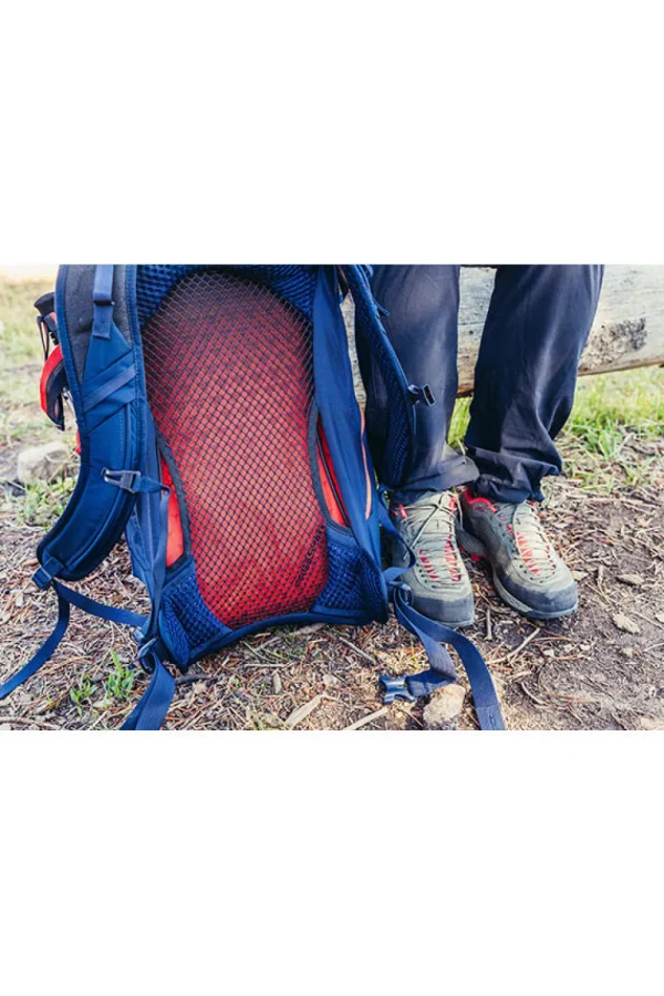 Gregory Arrio Backpack Spark Navy Discount