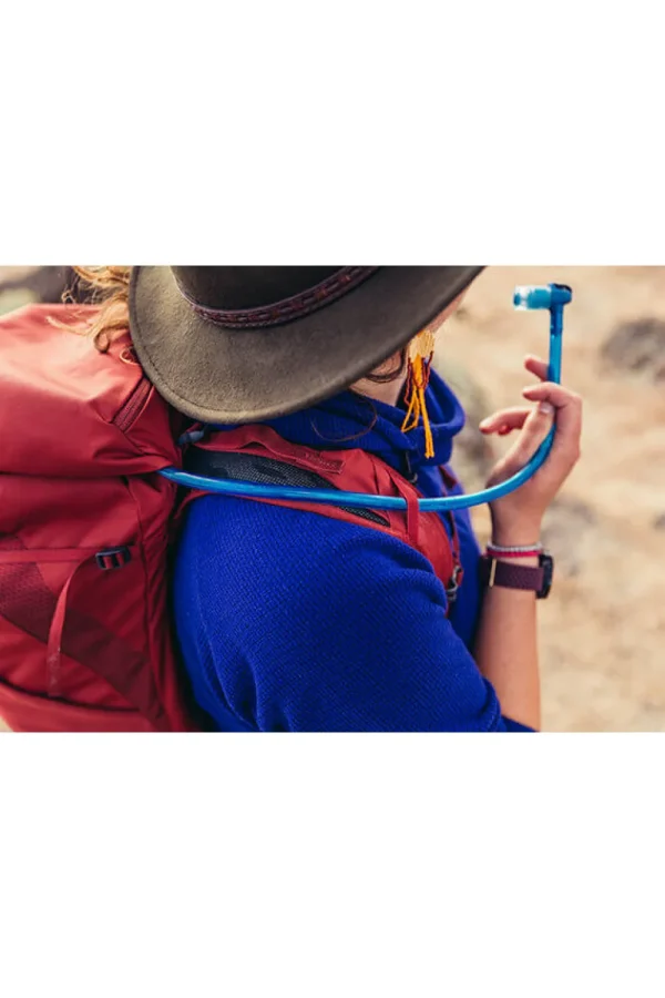 Gregory Arrio Backpack Brick Red Discount