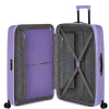 American Tourister DashPop Suuri matkalaukku Violet Purple Online