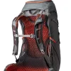 Gregory Facet Backpack Sunset Grey Best