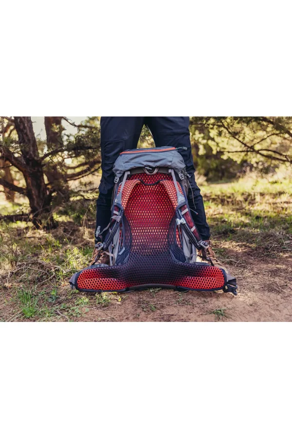 Gregory Facet Backpack Sunset Grey Best