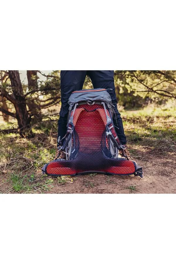 Gregory Facet Backpack Sunset Grey Online