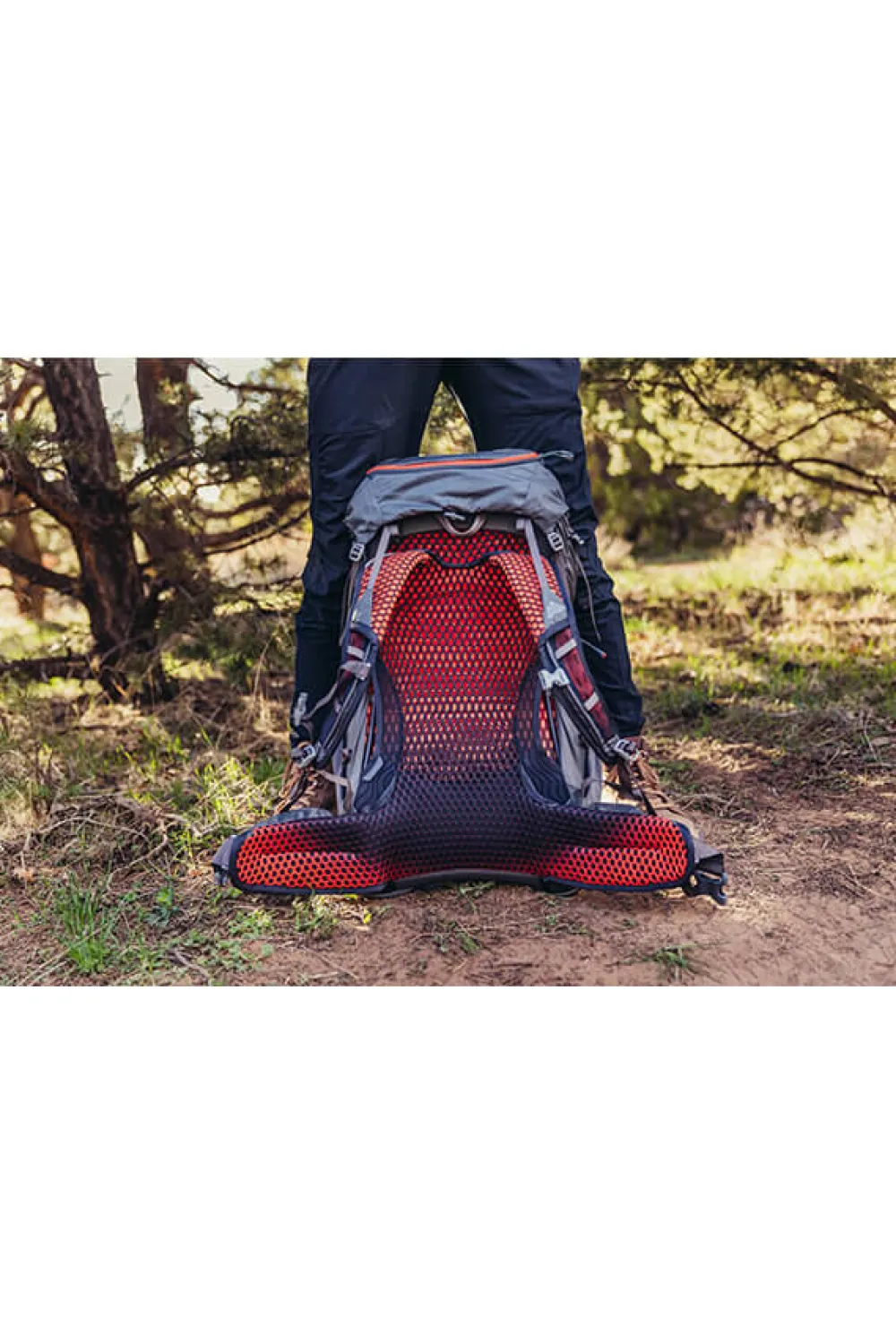 facet_backpack_3-2.webp Gregory Facet Backpack Sunset Grey Online