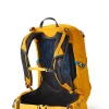 Gregory Jade LT Backpack Capri Yellow Online