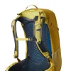 Gregory Juno Backpack Mineral Yellow Clearance