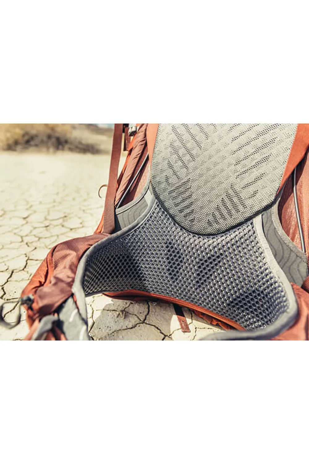 maven_backpack_2-3.webp Gregory Maven Backpack Rosewood Red Online