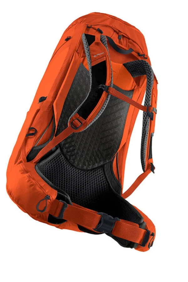 Gregory Paragon Backpack Ferrous Orange Fashion
