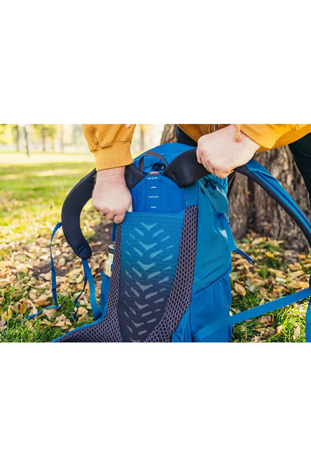 stout_plus_size_backpack_4.webp Gregory Stout Plus Size Backpack Compass Blue Best