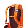 Gregory Targhee FT Backpack Outback Orange New