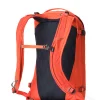 Gregory Verte Backpack M/L Apres Orange New